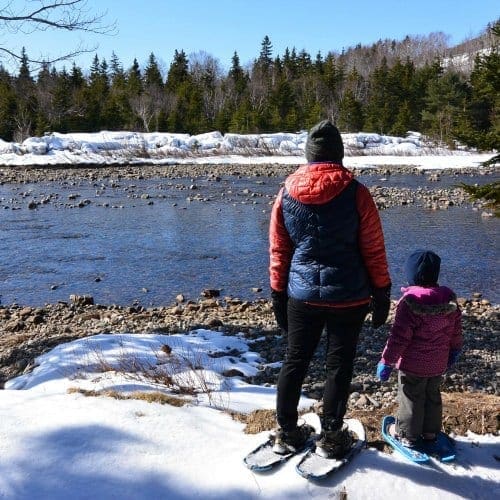 Adult and child in snowshoes on the shore of Indian brook. Adult and child in snowshoes on the shore of Indian brook.