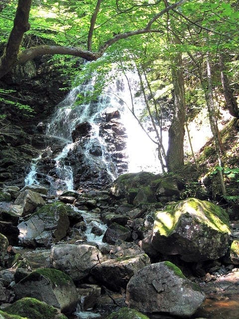 Indian Brook Widow Veiled Falls 
