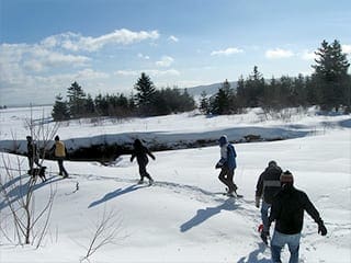 Snowshoeing at Cabot Shores, NS